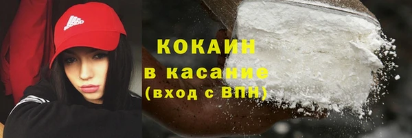 сатива Белокуриха