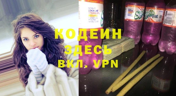 сатива Богданович